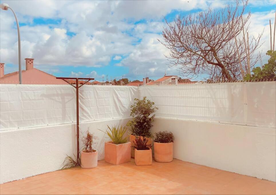 Cozy Apartment With Private Courtyard Barcarena Ngoại thất bức ảnh