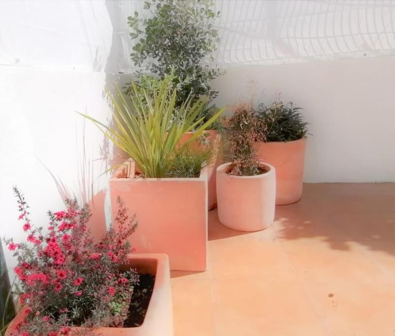 Cozy Apartment With Private Courtyard Barcarena Ngoại thất bức ảnh